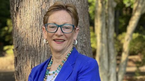 Nsw State Election 2023 Teals Confident Of Gains The Australian