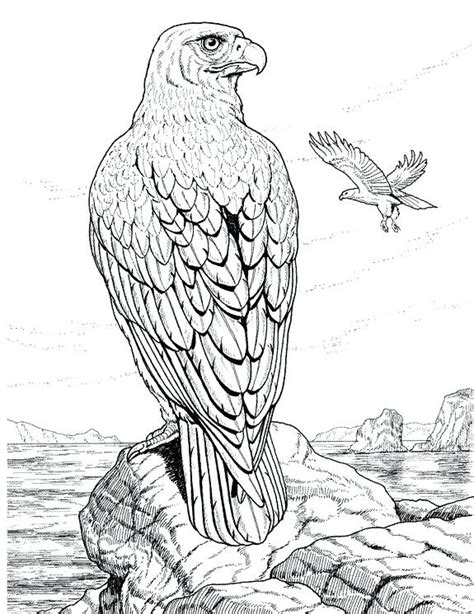 Eagle Coloring Pages For Adults At Getdrawings Free Download