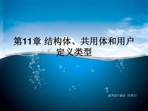 第11章 结构体、共用体和用户定义类型 文档之家