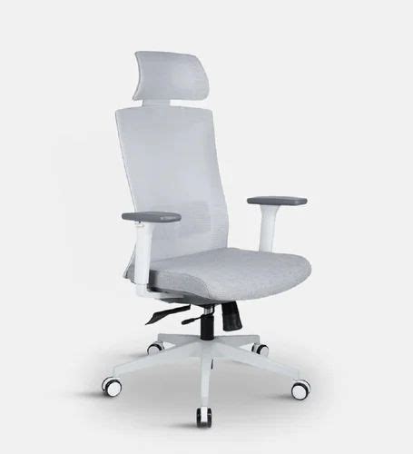 Mesh High Back Executive Revolving Office Chair Florence HB At Rs 14000