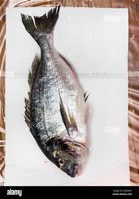 Top View Of Raw Gilt Head Sea Bream Sparus Aurata Orata Dorada On