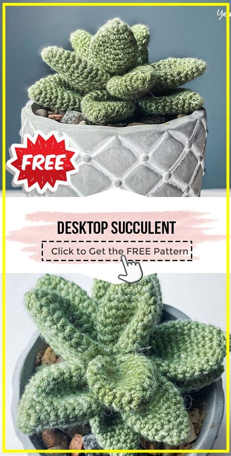 Crochet Desktop Succulent Free Pattern Crochet Succulent Crochet