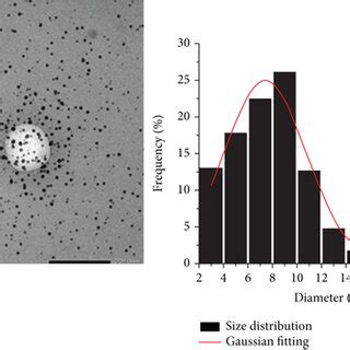 Tem Images And Particle Size Histograms Of Pca A Pca B And