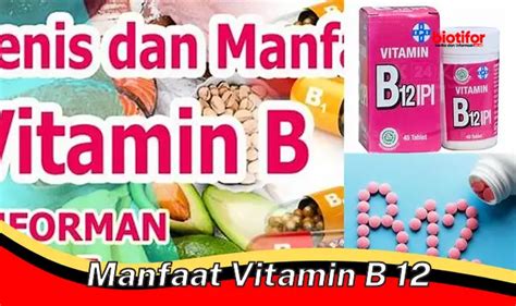 Temukan 5 Manfaat Vitamin B12 Yang Jarang Diketahui Dan Wajib Anda