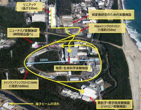 国立研究開発法人日本原子力研究開発機構 原子力科学研究所