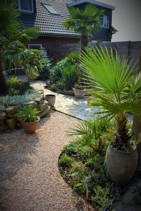 Mediterrane Tuin In Nieuwland Aardoom Hoveniers