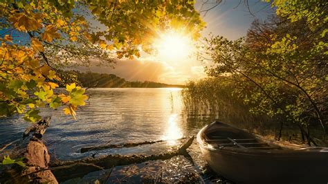 The Unexpected Benefits Of Sensual Sunshine 2