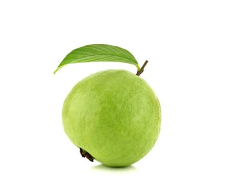 Guavas Clip Art Library