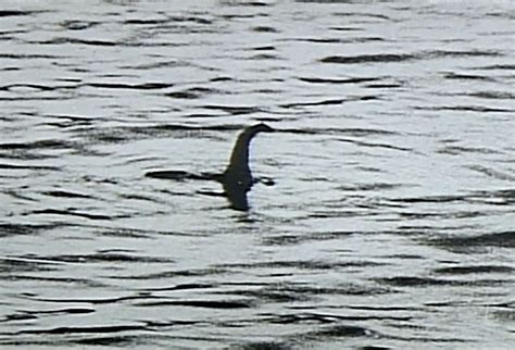 The Loch Ness Monster Hunting The Truth Parade Media