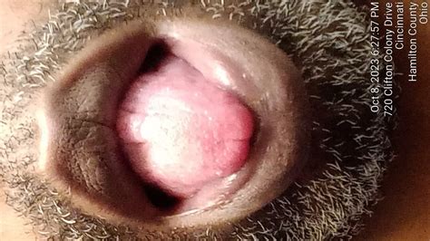 I Love Licking Pussy Pics XHamster