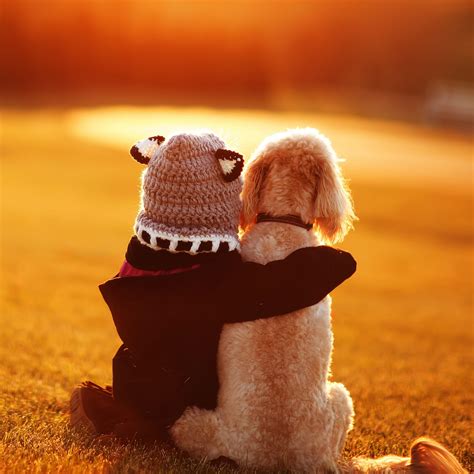 wild animal friends