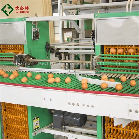 Automatic H Type Laying Hens Galvanize Wire Chicken Layer Cage