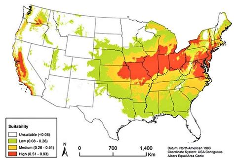 Tree-of-Heaven: Best Herbicide Treatment and Removal Timing — Plant ...