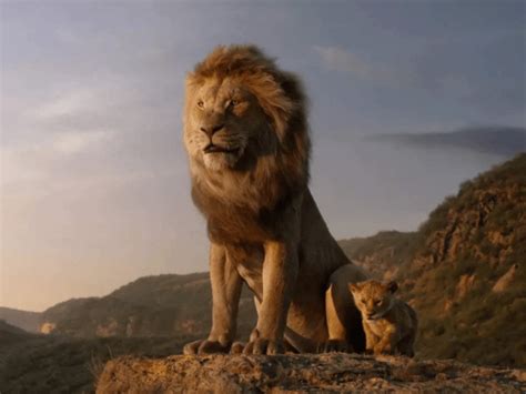 Mufasa The Lion King 2024 Release Date Cast Trailer Plot Where