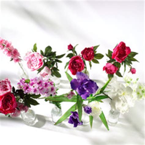 voorjaar zomer decoratie etalage decoratie