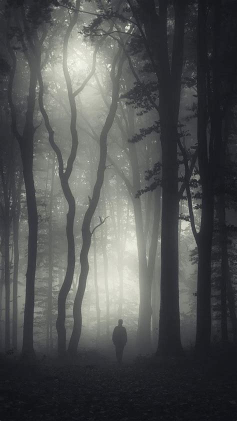 Gloomy Forest Wallpapers - 4k, HD Gloomy Forest Backgrounds on WallpaperBat