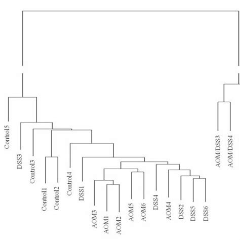 Hierarchical Clustering Of Gene Expression Data Hierarchical