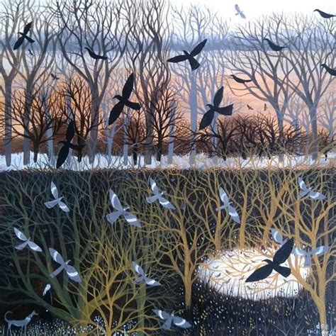 Dee Nickerson Dee Nickerson Instagram Fotos Und Videos Birds