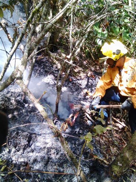 Protecci N Civil T Chira Controlado Incendio De Vegetaci N En Lobatera