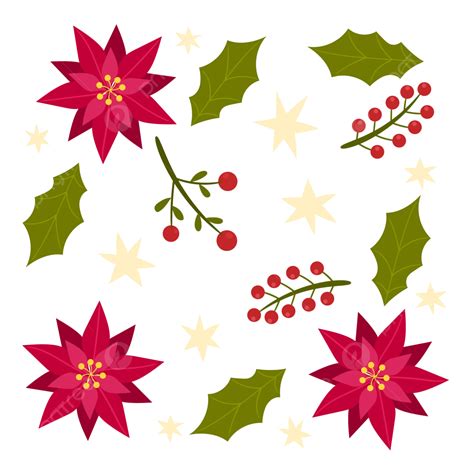 Conjunto De Pétalos De Hojas De Flores De Navidad Vector Png Navidad Flores Baya Png Y