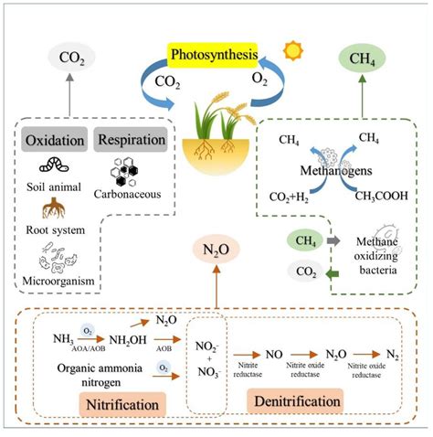 Processes Free Full Text Microbial Mediated Emissions Of Greenhouse