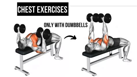 The 10 Best Chest Exercises Only With Dumbbells Full Body Workout Youtube