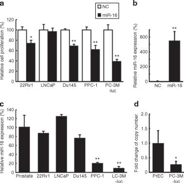 Systemic Delivery Of Synthetic MicroRNA 16 Inhibits The Growth Of