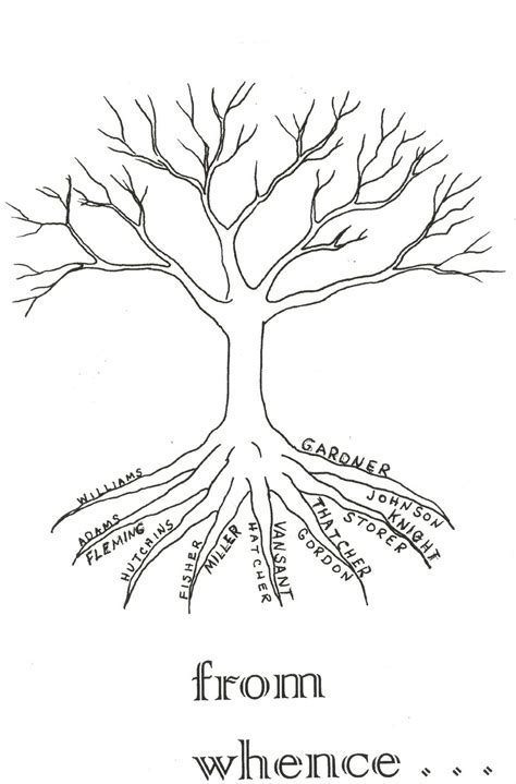 Redwood Tree Root System Sketch Coloring Page