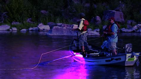 Fishing Boat: Fishing Boat Led Lights