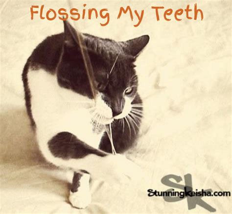 Flossing My Teeth Stunning Keisha