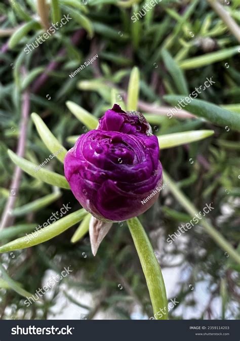 2 13promax Images, Stock Photos & Vectors | Shutterstock