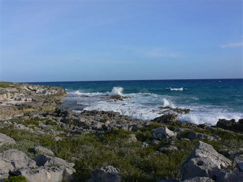 Photos from Great Inagua, Bahamas, January 2006