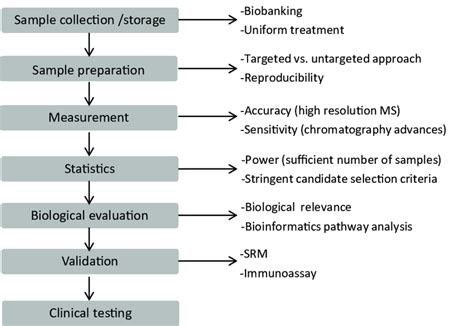 Flow Chart For An Extended Proteomics Experiment The Process Starts