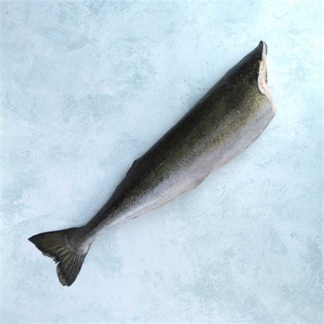 Buy Whole Headless Frozen Black Cod Wild Sablefish The Fish Society