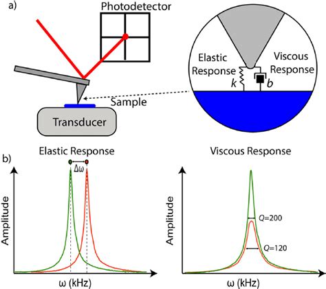 A Schematic Of Conservative And Dissipative Interactions In BE AFAM