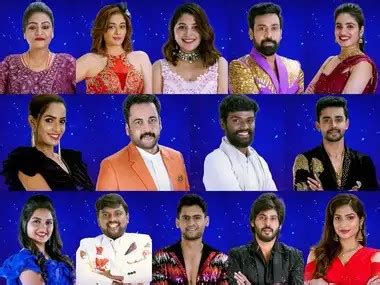 Bigg Boss Telugu Final List Of Contestants Their Professions