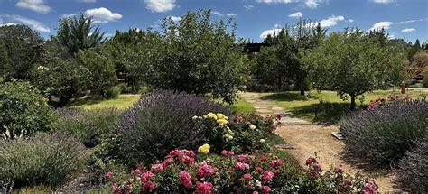 Santa Fe Botanical Garden Loop, New Mexico - 44 Reviews, Map | AllTrails