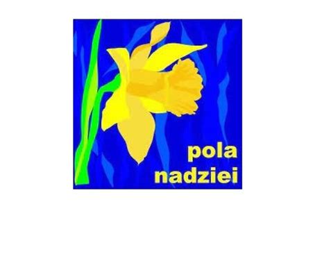 Udzia W Akcji Pola Nadziei Szko A Podstawowa Im Marii