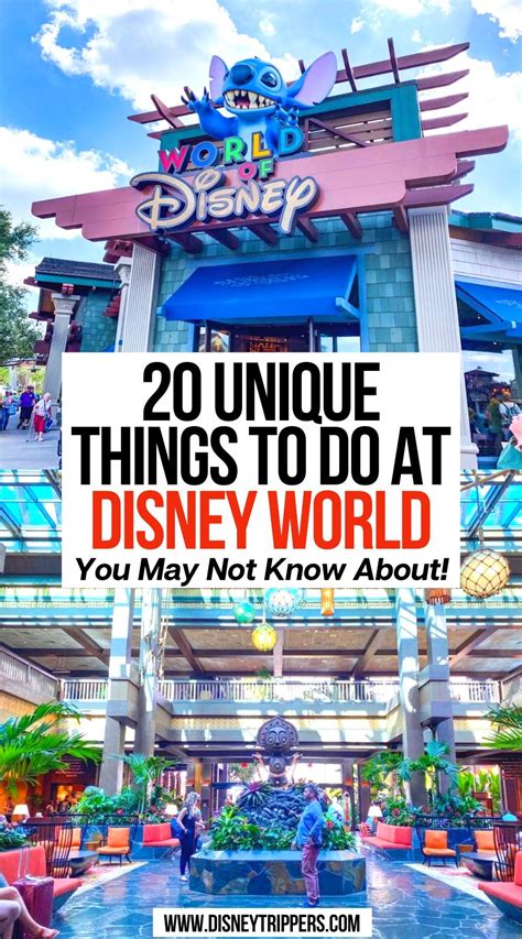 Coolest Things To Do In Disney World Artofit