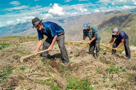 Midagri Agricultores Inscritos En El Padr N De Productores Agrarios