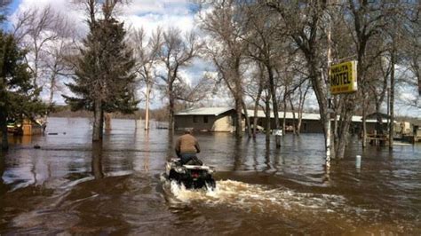 Big Tree Columbia Mo Flooding Wonderful Thing Webcast Image Archive