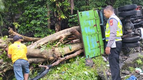 Truk Terguling Di Tanjakan Samsam Angkut Ton Tanaman Hias