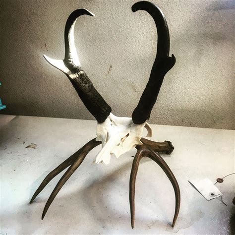 Prairie Ghost Artistry Llc Euro Antelope Skull On Mule Deer Antler