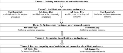 Schematic Presentation Of Themes And Sub Themes Identified During Data Download Scientific