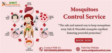 Mastering Mosquito Control 3 Effective Methods By Unitpestcontrol Oct 2023 Medium