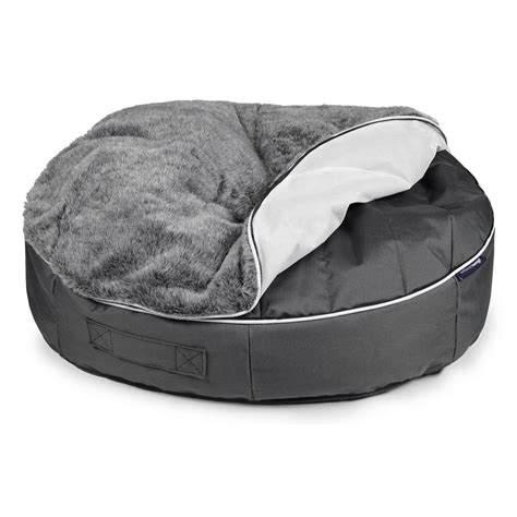 bean bags dogs