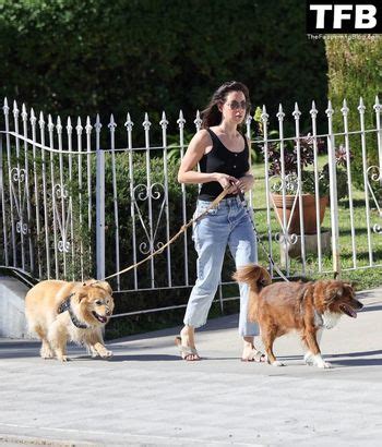 Abella Danger Abelladanger Dangershewrote Nude OnlyFans Photo The Fappening Plus