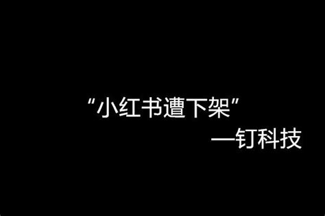 小紅書app遭下架，電商平台跨界內容仍道阻且長 每日頭條