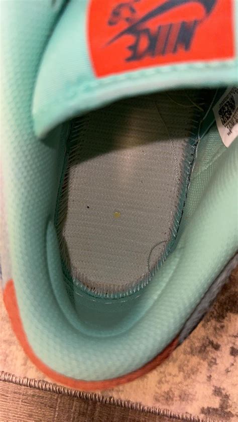 Rep v Retail SB Low Noise Aqua : r/RepsneakersDogs