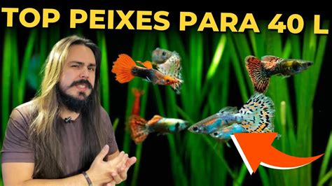 PEIXES PARA AQUÁRIO DE 40 LITROS Mr Betta YouTube